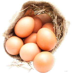 organic-egg